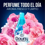 Suavizante Downy Brisa de Verano 1 L